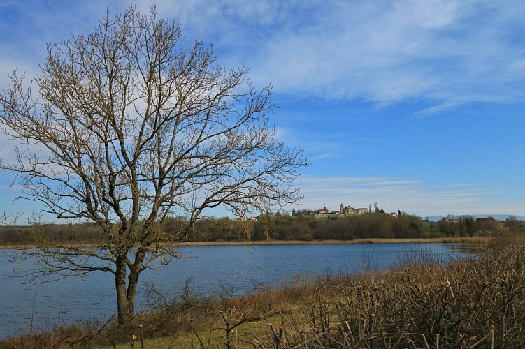image du object