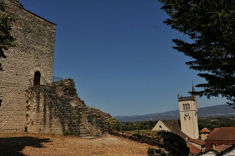 Espace Tour Médiévale