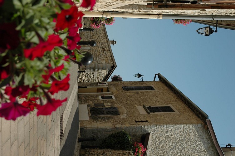 Porte Saint Symphorien et Porte Murine
