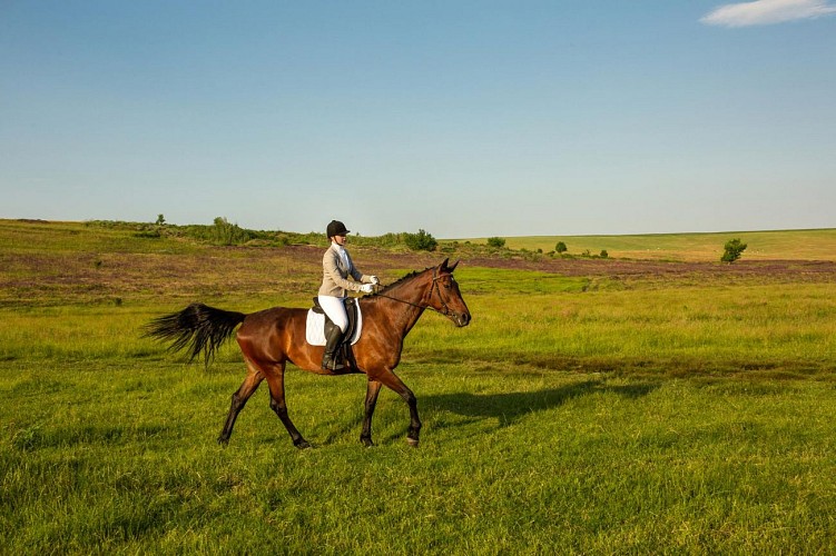 Les Écuries du Marais