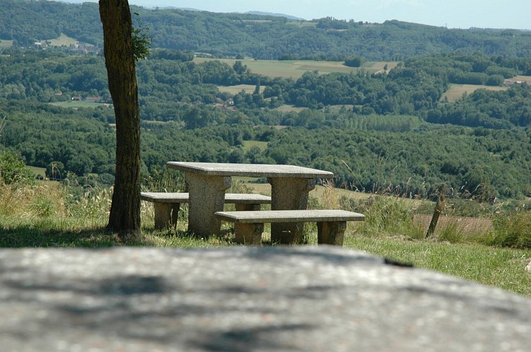 Aire de pique-nique de la Madone du Moulin à Sermérieu