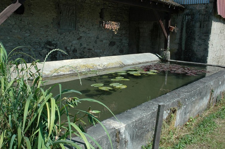 Lavoirs de Vignieu