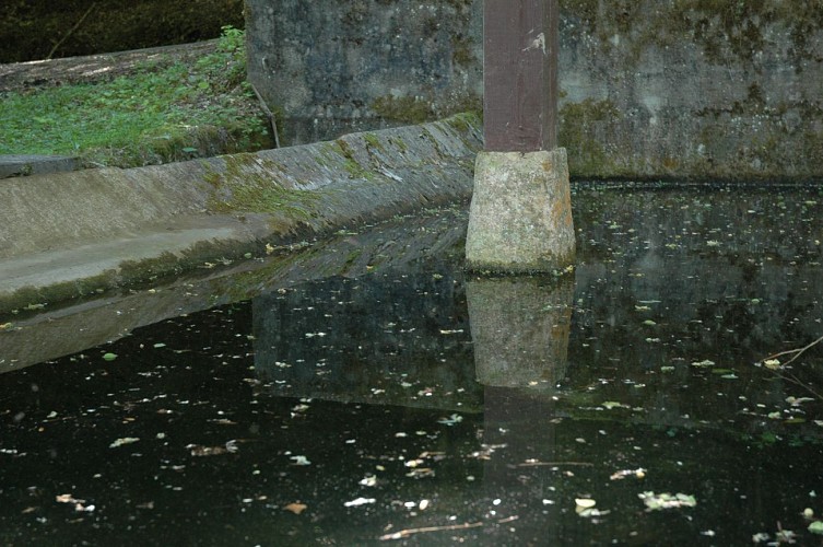 Lavoirs de Vignieu