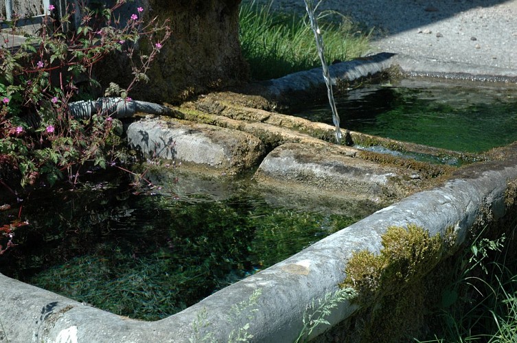 Fontaines de Vignieu