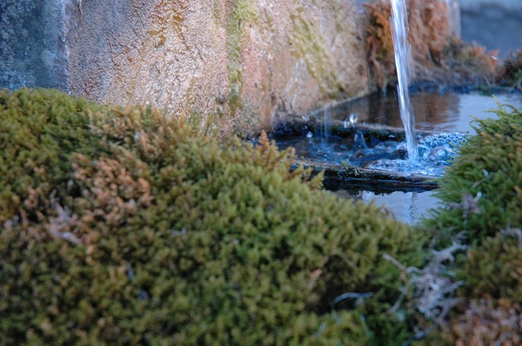 Fontaines de Vignieu