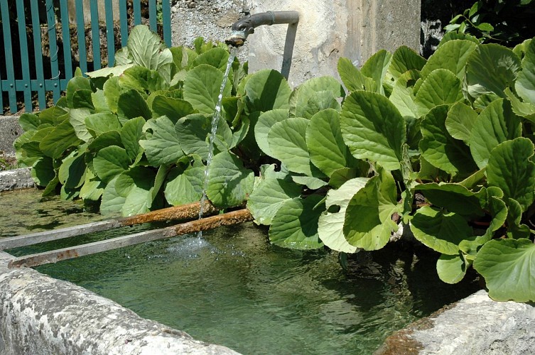 Fontaines de Vignieu