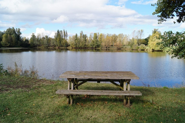 Aire de pique-nique - Bords de Loire