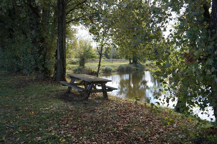 Aire de pique-nique - Bords de Loire