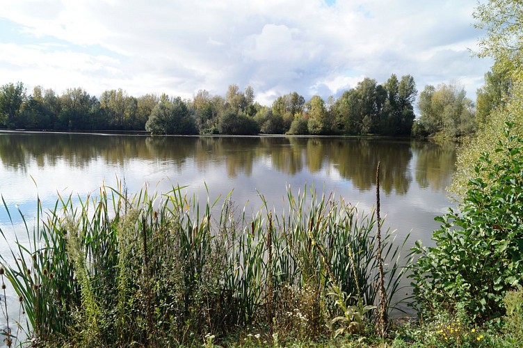 Aire de pique-nique - Bords de Loire
