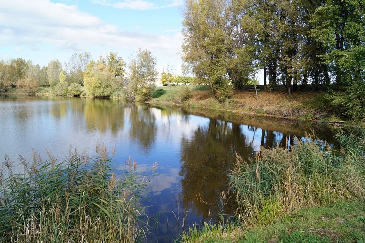 Aire de pique-nique - Bords de Loire