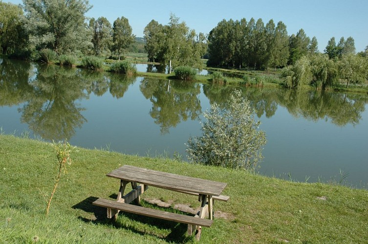 Picnic area