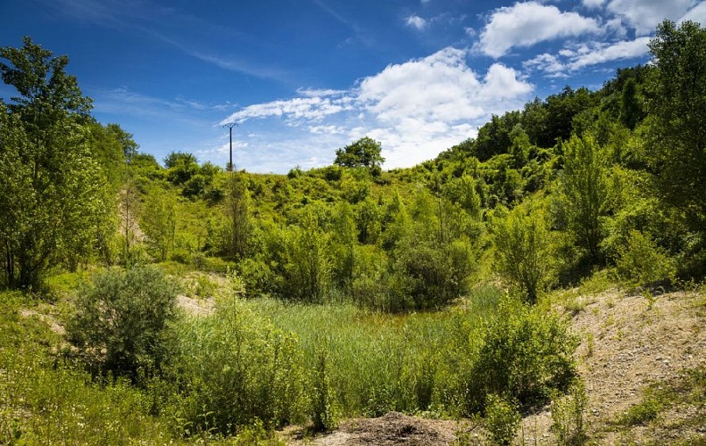 Save Sensitive Natural Area, étangs de Passins lakes sector