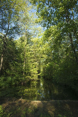 Save Sensitive Natural Area, étangs de Passins lakes sector
