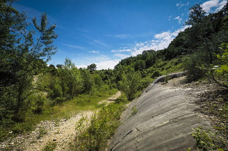 Save Sensitive Natural Area, étangs de Passins lakes sector