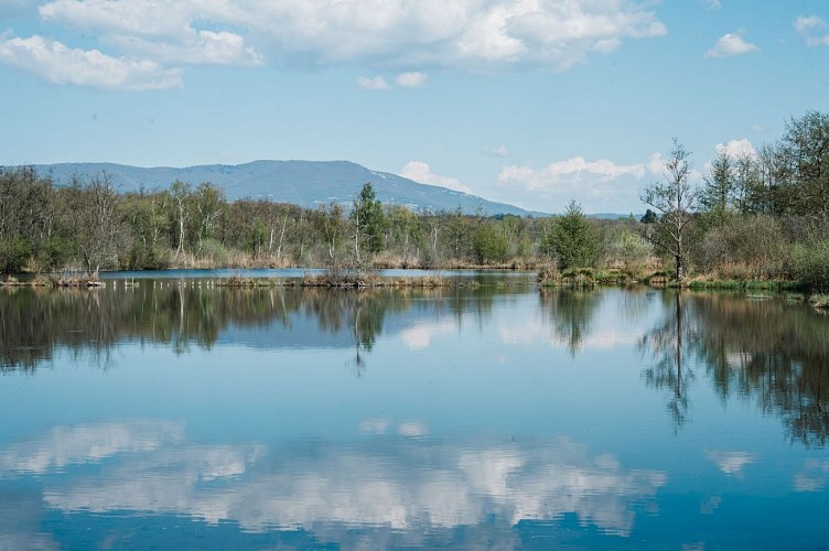 Save Sensitive Natural Area, étangs de Passins lakes sector