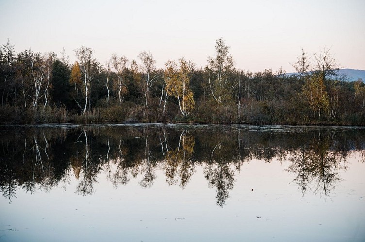 Espace Naturel Sensible de la Save - Secteur des étangs de Passins