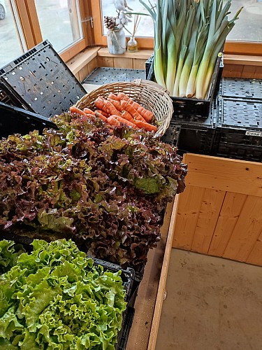 Les Vergers du Bouchage