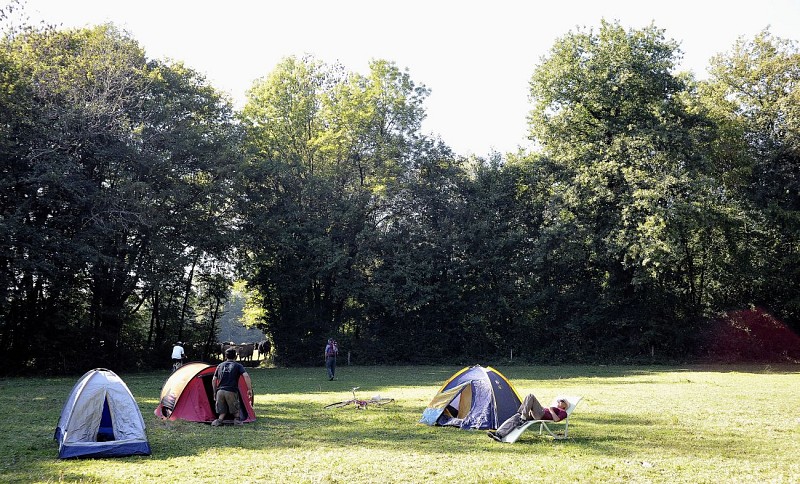 La Tour des Saveurs - Camping à la ferme