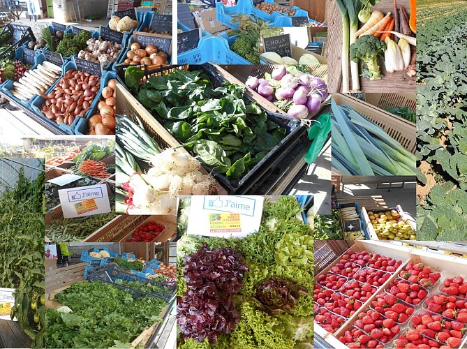 La Tour des Saveurs - Camping à la ferme