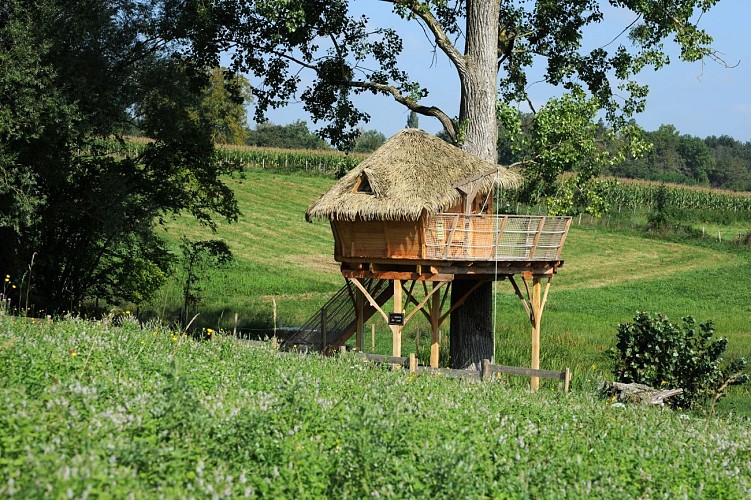 La Cabane de Suzel