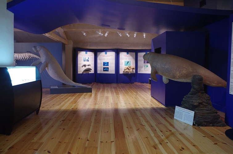 Maison Nature & Patrimoines