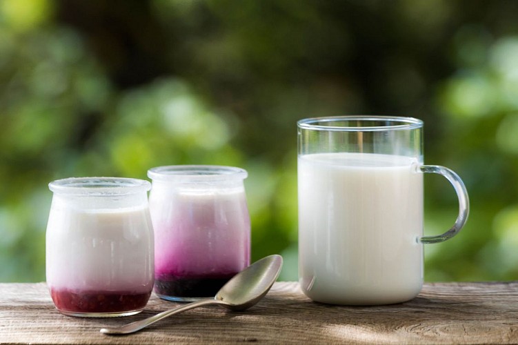 Laiterie du Col Bayard