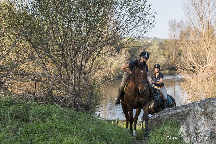 Horse-riding - Le Rouret