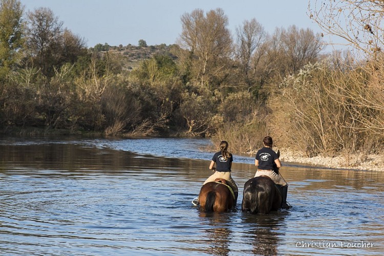 Horse-riding - Le Rouret