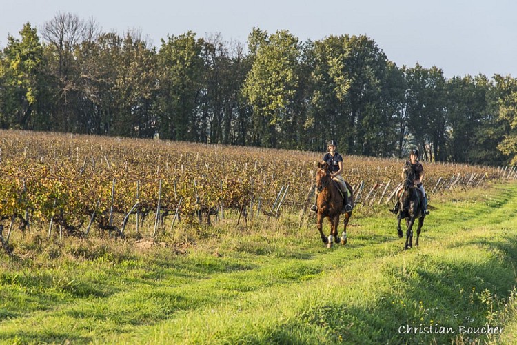 Horse-riding - Le Rouret