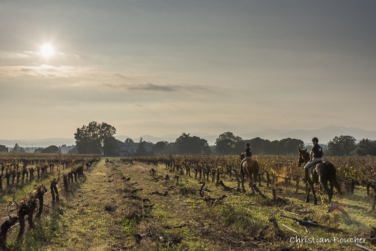 Horse-riding - Le Rouret