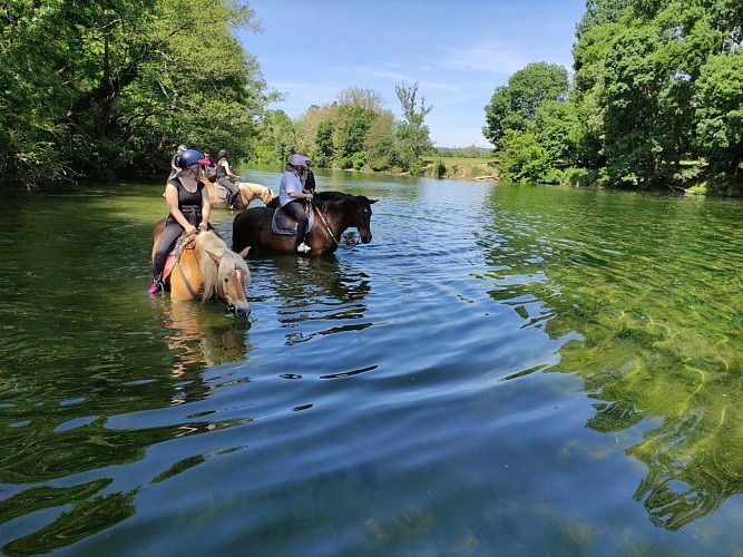 Ferme Equestre - Equitation Chavetourte