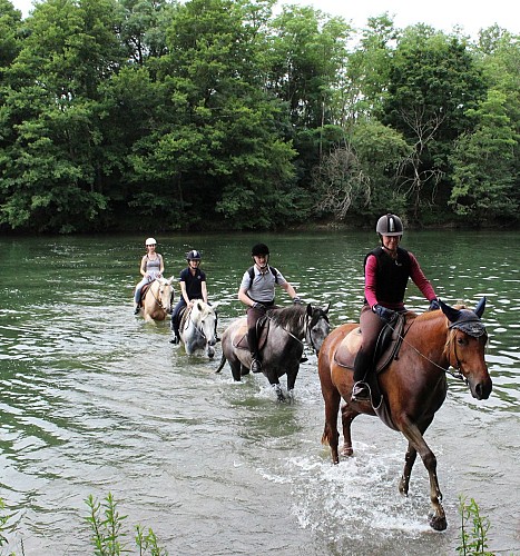 Ferme Equestre - Equitation Chavetourte