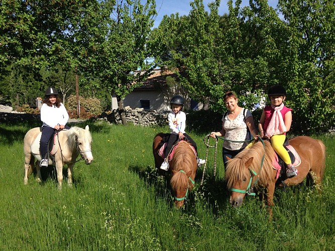 Ferme Equestre - Equitation Chavetourte