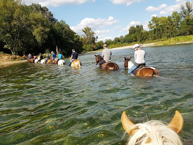Ferme Equestre - Equitation Chavetourte