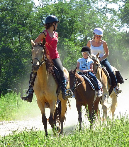 Ferme Equestre - Equitation Chavetourte