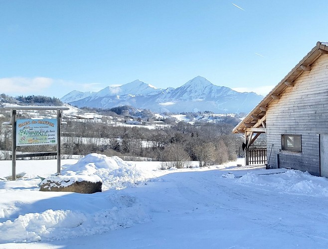 Pain de la Ferme de Baffol