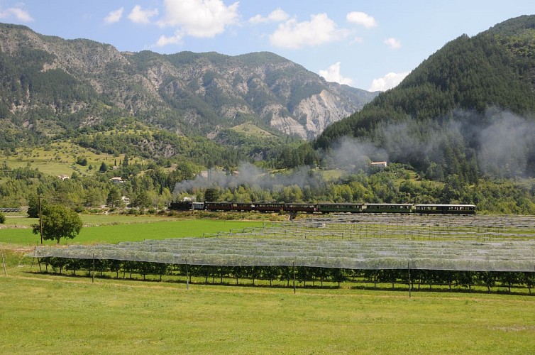 Train des Pignes à vapeur