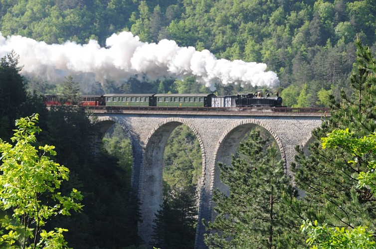 Train des Pignes à vapeur