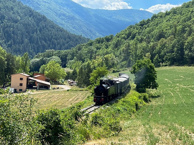 Train des Pignes à vapeur