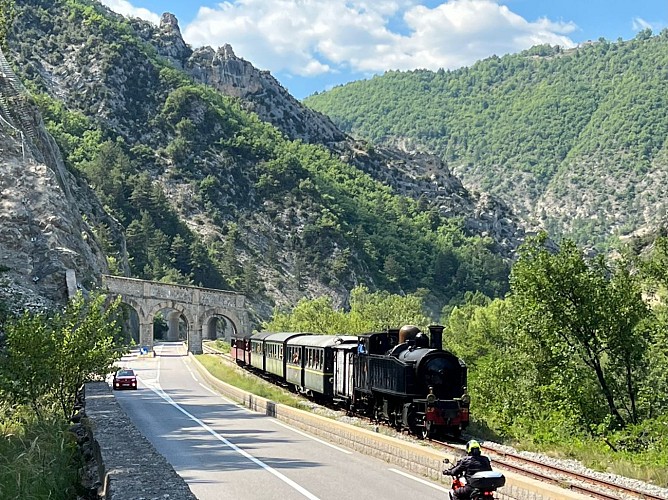 Train des Pignes à vapeur