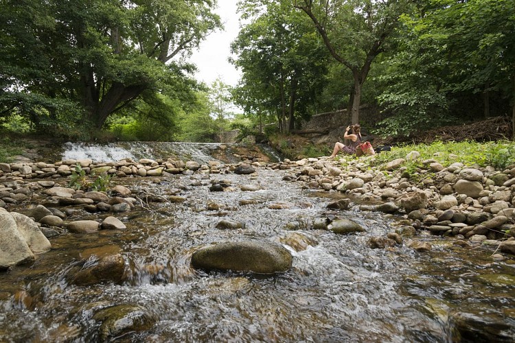 Vallée de la Deûme