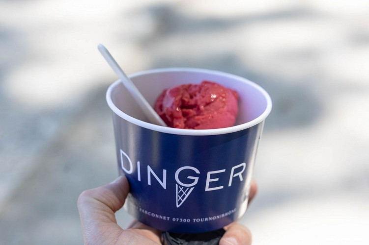 Dinger - Fabricant Glacier
