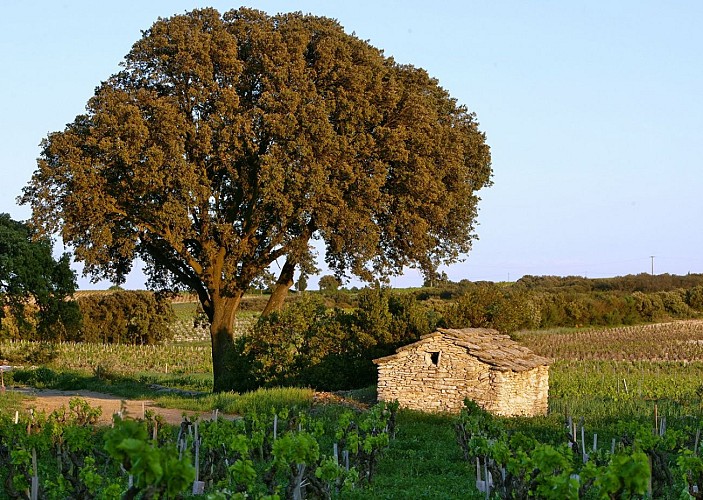 Domaine de Beaurenard