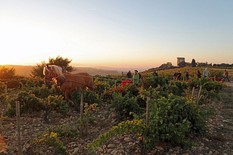 Domaine de Beaurenard