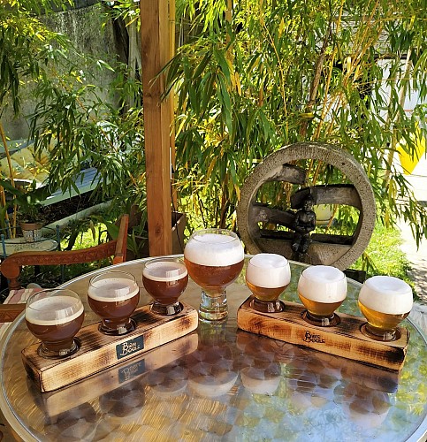 Dégustation de 4 bières et plateau avec Pico-Brasserie de la Loire