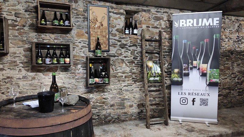 Dégustation Brume : Vins au chanvre