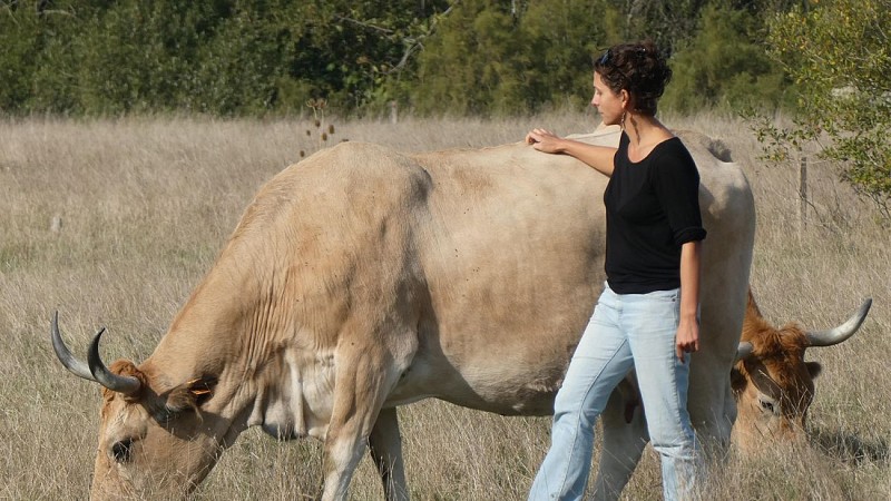 Ferme de l'Avocette Rieuse