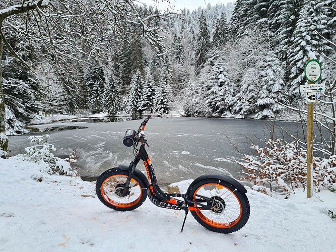 Green Mojo Elektrisch unterstützte Roller und Mountainbikes