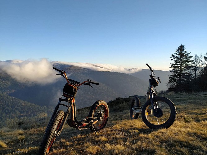 Green Mojo electric scooters and mountain bikes