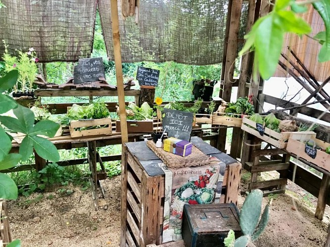 Jardin-des-Merveilles-1